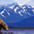 "Alaska" Spotlight Blingee