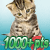 1000+ puntos en el Concurso Mejor Blingee de mascotas