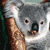 Blingee en primer plano para la semana "Koala Bear " 